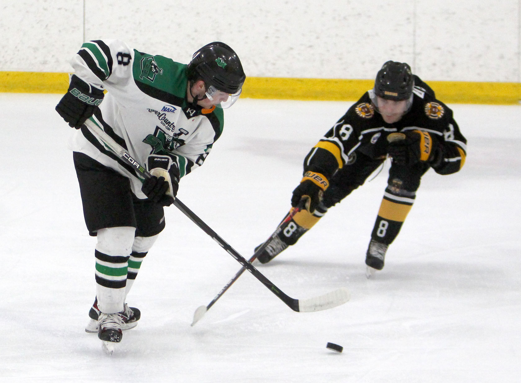 Austin Bruins at Chippewa Steel 1-25-20